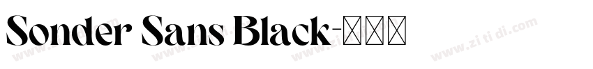 Sonder Sans Black字体转换 Sonder Sans Black字体转换